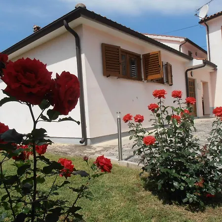 Tea, Quiet In The Center Apartman Funtana